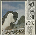 朝日新聞（土曜夕刊）ペンギンの国から