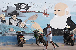 ガラパゴス諸島サンタクルス島のプエルトアヨラの町中に描かれたダーウィンの壁画＝平田明浩撮影