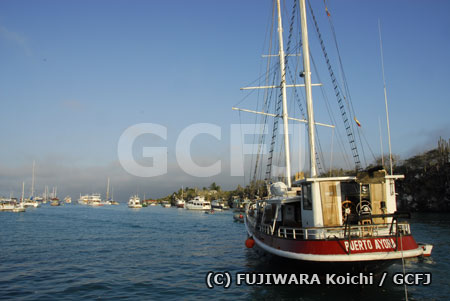 諸島最大の町、プエルト・アヨラに停泊する観光船