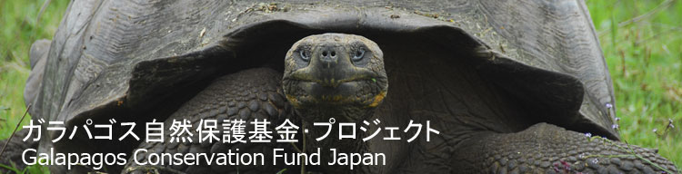 【ガラパゴスゾウガメ】 ガラパゴス自然保護基金／Galapagos Conservation Fund Japan