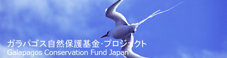 【ガラパゴスアカハシネッタイチョウ】 ガラパゴス自然保護基金／Galapagos Conservation Fund Japan