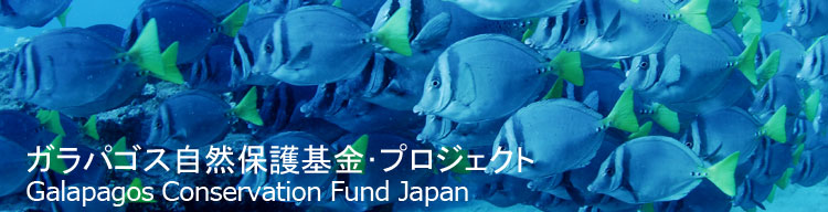 【】 ガラパゴス自然保護基金／Galapagos Conservation Fund Japan