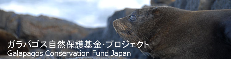 【ガラパゴスアシカ】 ガラパゴス自然保護基金／Galapagos Conservation Fund Japan