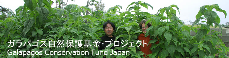 【2007年5月に成長した苗と、レイチェル博士、藤原】 ガラパゴス自然保護基金／Galapagos Conservation Fund Japan