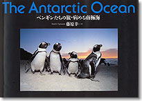 The Antarctic Ocean —ペンギンたちの旅・病める南極海—