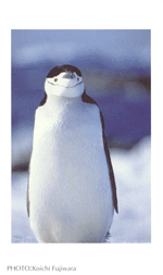 �q�Q�y���M��