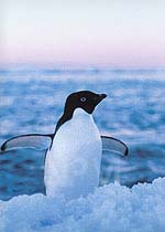 �y���M���E�`�Q