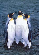 �y���M���E�`�U