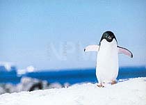 �y���M���E�`�W